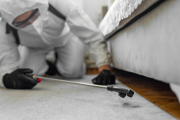 Professional Cockroach Control technician working in Albany, LA