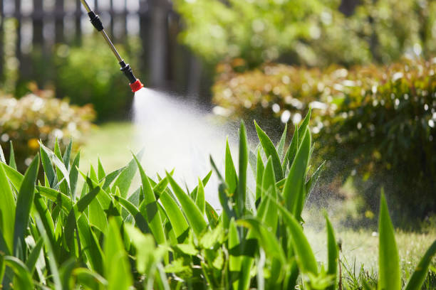 24/7 Emergency Cockroach Control experts in Albany, LA