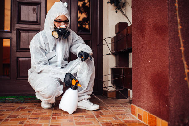 Reliable Cockroach Control contractor in Albany, LA by Nex Pest Control